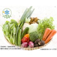 宮崎情熱野菜（１０品）詰合せ　【農水省６次化認定事業】