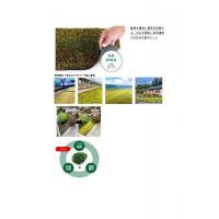 緑地を維持し雑草を防除、CO₂を固定し空気清浄する生きた苔のシート(緑化事業)