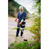 愛知県長久手市で「剪定・伐採」が得意な庭師です。