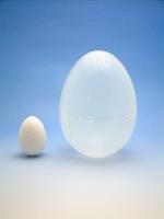 鶏卵　ダチョウのたまごサイズ　タマゴ　たまご　卵　玉子　プラスチック　　容器