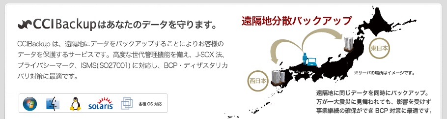 ヘッダー_CCIバックアップ.jpg