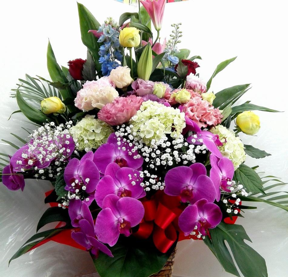 大阪市城東区鴫野のお花屋さん 花の店すずき フラワーアレンジメント 花束 胡蝶蘭 花の店すずき