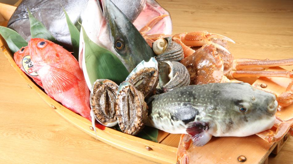 魚一筋７５年 魚の事ならお任せください魚市へ 寿し割烹 魚 市 Uoichi Sushi Restaurant