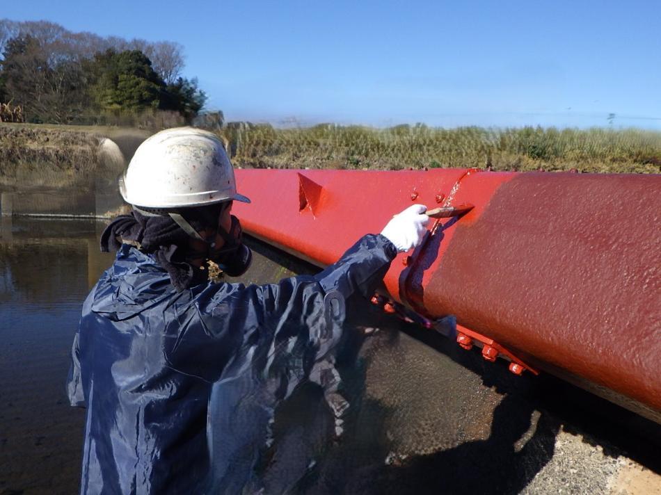 企業情報 - カラーコンシェル株式会社