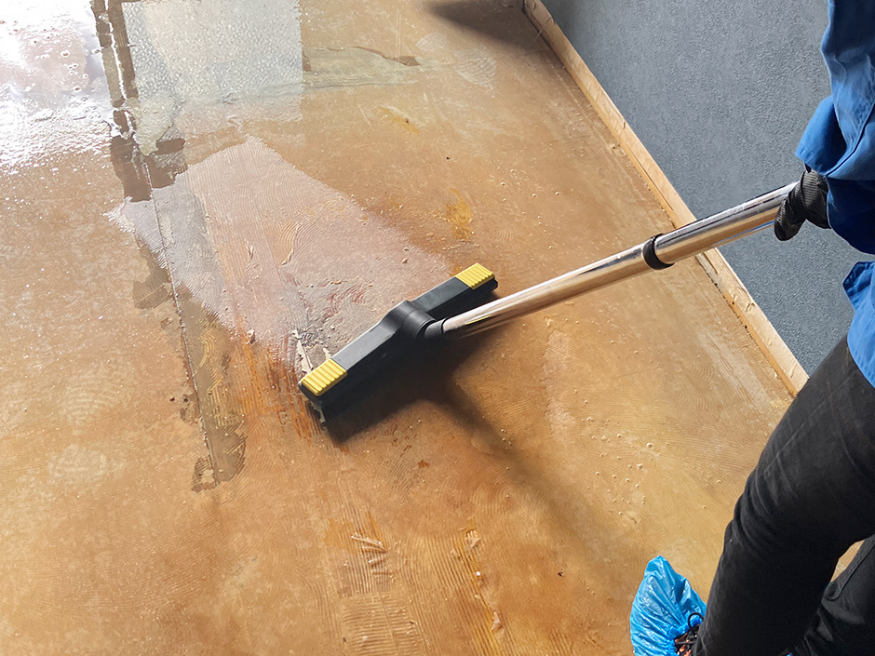 ペット臭・汚れの専門清掃