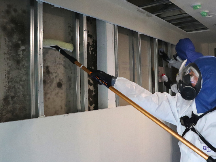 カビ除去と再発防止対策