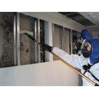 床下浸水の消毒・乾燥復旧