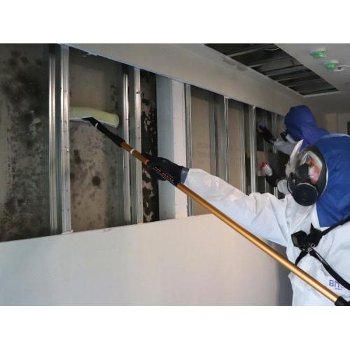 カビ除去と再発防止対策