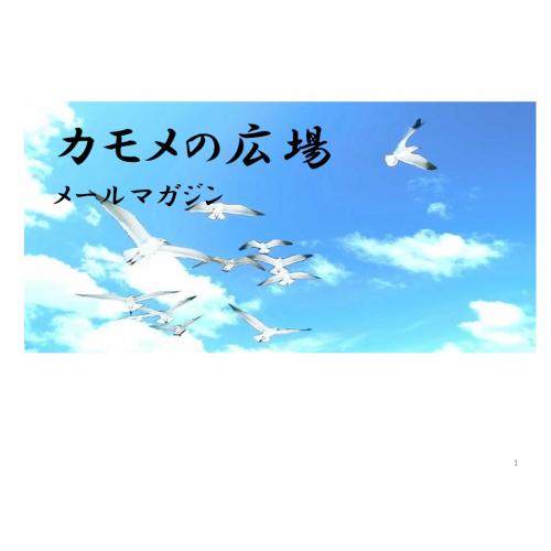 ファイナンシャルプランナーンのメールマガジン 「かもめのひろば」