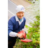 愛知県瀬戸市で蜂の巣をしている庭師です。