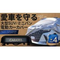 リアルフィギュア制作サービス　スリクラ（３Dプリント倶楽部）