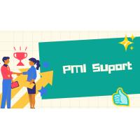 統合計画書を策定する「プレPMI支援」