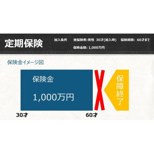 定期保険