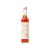 【イタリア産有機茶葉使用】　オーガニックハーブウォーター　ミント　500ｍｌ