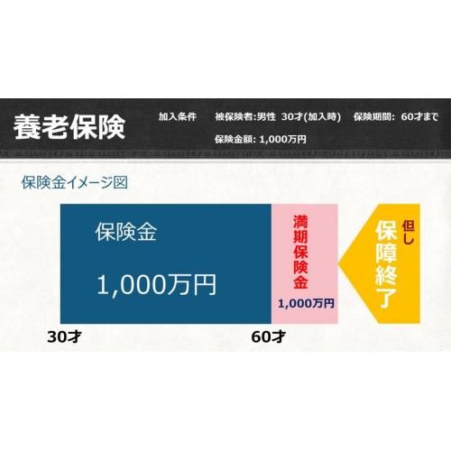 養老保険