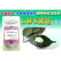 有機野菜・水耕栽培用の植物免疫活性剤 LBS菜花