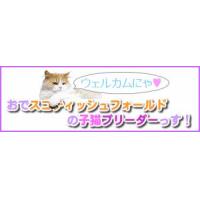 スコティッシュフォールド 子猫ブリーダー販売 大阪