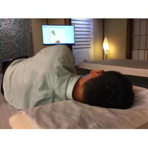 頭寒足熱 オーダーメイドフェザー枕