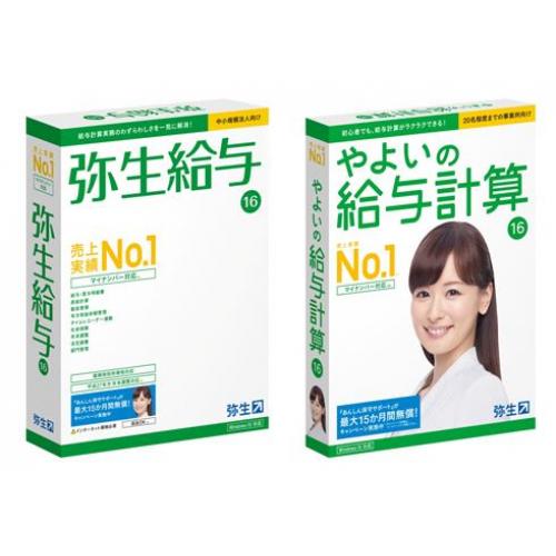 弥生給与の伝票の事ならお任せください。