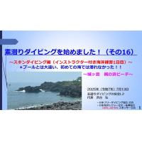 7分ー素潜りダイビングを始めました10 ~スキンダイビング編(プール練習8日目)