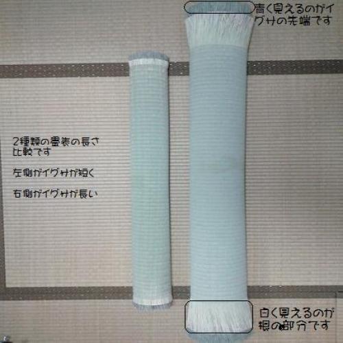 畳替えの選び方 大阪 畳替え 畳表替え 畳表の見分け方 井上商店