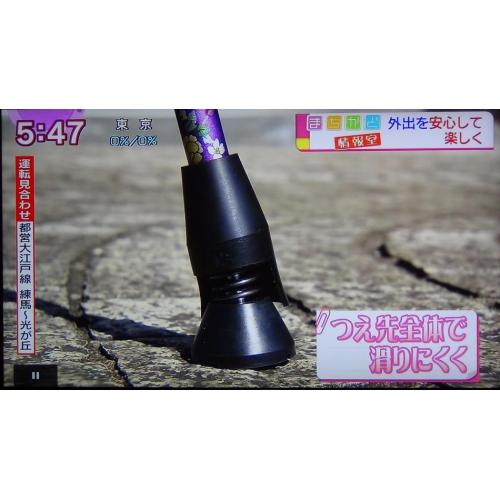 杖先ゴム(特許取得)に技あり!ラクーンステッキ