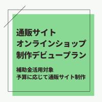 デビュープラン！予算に応じた通販サイトを制作！