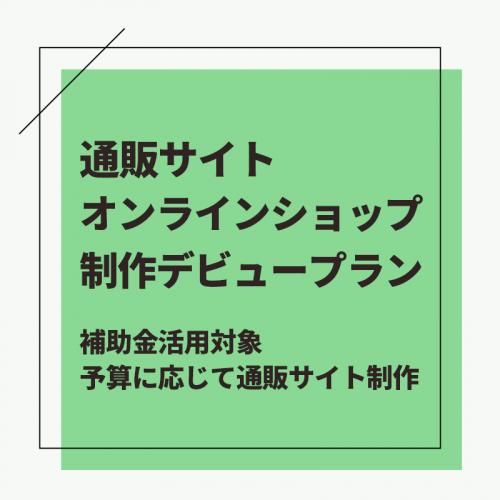 デビュープラン!予算に応じた通販サイトを制作!