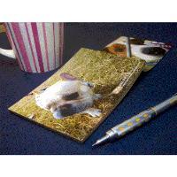 オリジナル製品　アートなメモ【picmo】　カスタムメイドも承ります！