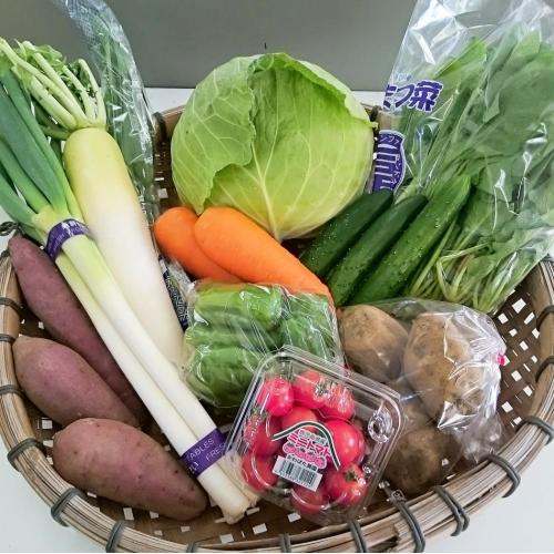 九州・鹿児島の大地で育った減農薬野菜 新鮮野菜セット(満足パック)
