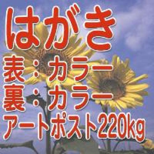 カラーはがき・カラーＤＭで訴求力ＵＰ↑