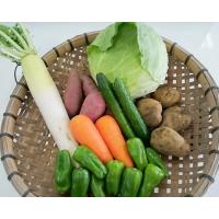 九州・鹿児島の大地で育った減農薬野菜　新鮮野菜セット（ボリュームアップパック）