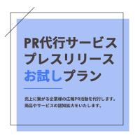 デビュープラン！WordPress(ワードプレス)でホームページ制作！