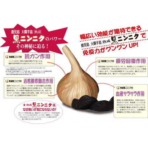 幅広い効能が期待できる鹿児島熟成大郷黒にんにくで、免疫がグングンアップ!
