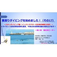 7分ー素潜りダイビングを始めました10 ~スキンダイビング編(プール練習8日目)