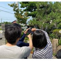 ドローン撮影(空撮)イベント・住宅・太陽光・結婚式・宣伝用画像、他