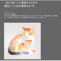 コラム、ブログ、メールマガジン、ＳＮＳ記事