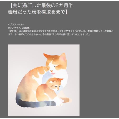 コラム、ブログ、メールマガジン、SNS記事