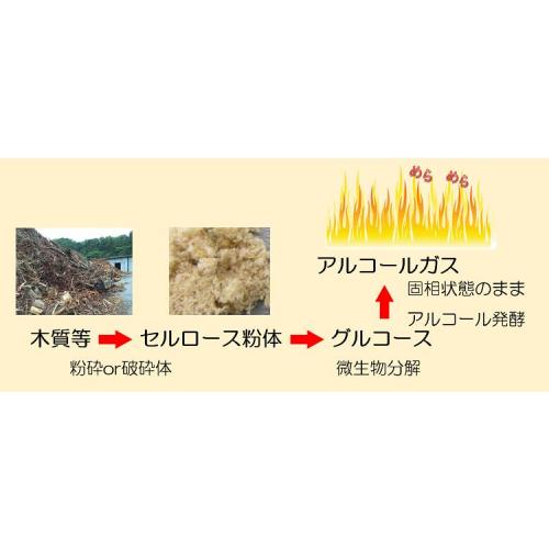 『菌類を用いた植物バイオマスからのバイオガスの製造方法』特許取得