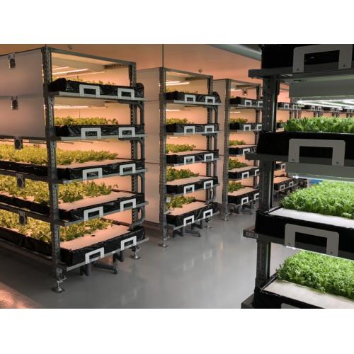 植物工場の新規参入支援