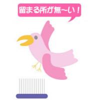 鳥害対策バードストッパー・SUSピンタイプ(ステンレスベース)