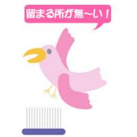 鳥害対策バードストッパー・チェーンタイプ4500G