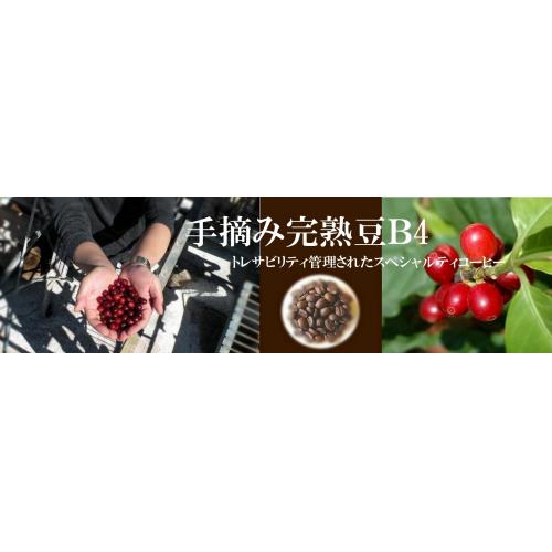 100g単位でのコーヒー通販 きっとお好みの豆と出会えます