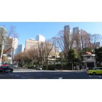 渋谷不動産相続・シニア関連総合コンサルタント事務所 - 申込がありましたーパレステュディオ新宿パークサイドのビデオをご覧下さい
