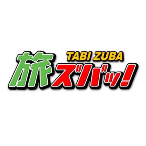 「旅ズバッ！」飛行機チケットを一括で比較！ ご希望区間の最安値を探せます！