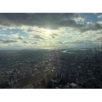 看板が付着した不動産の売買賃貸譲渡相続、そんな屋外広告物の行政手続き承ります