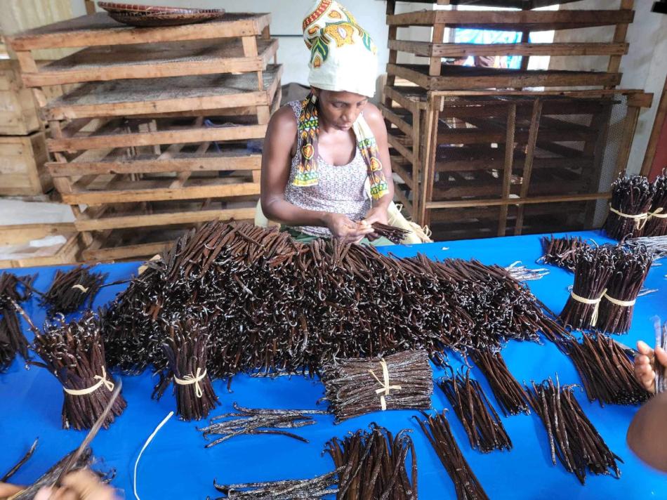 Vanillabeans・Vanillaoil・各種Vanilla商品