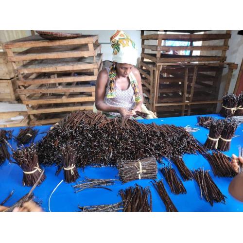 Vanillabeans・Vanillaoil・各種Vanilla商品