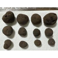 Vanillabeans・Vanillaoil・各種Vanilla商品