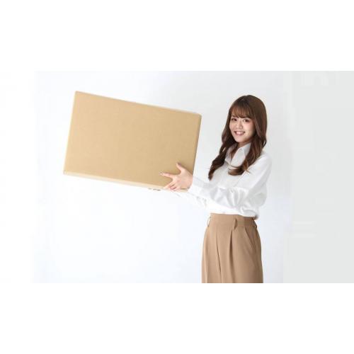 ダンボール140サイズ(ダンボールチャンピオン)1枚@150円